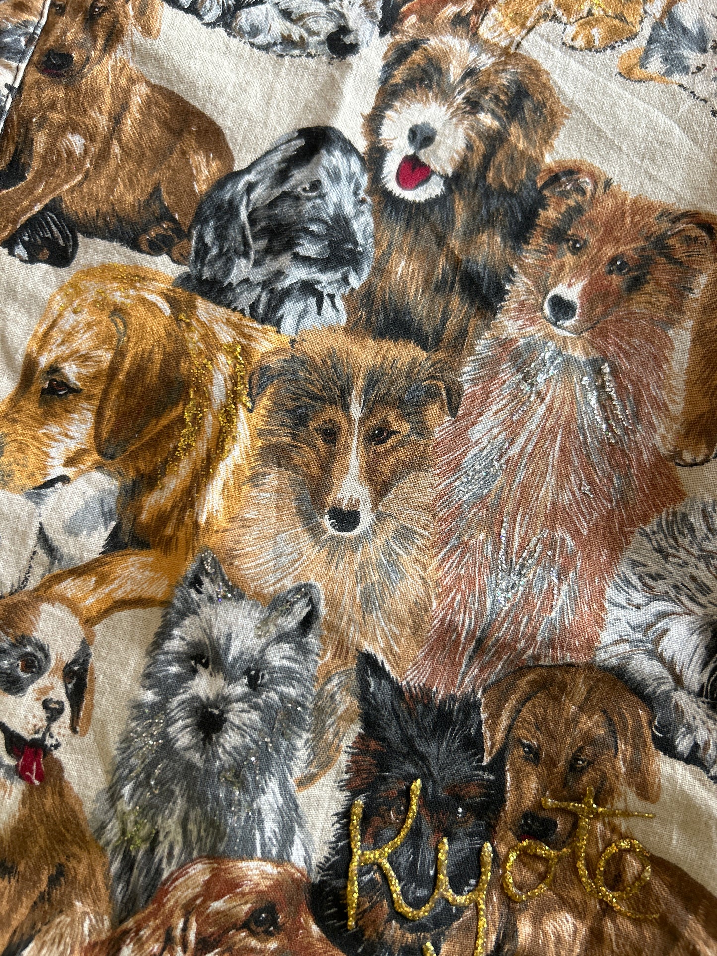 Kyote Kreations Vintage Handpainted Vest